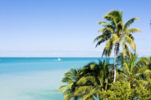 image of palm coast, fl. concept of a DUI defense lawyer in palm coast, FL